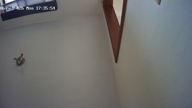 Clip de pádel capturado automáticamente por Puntaxo