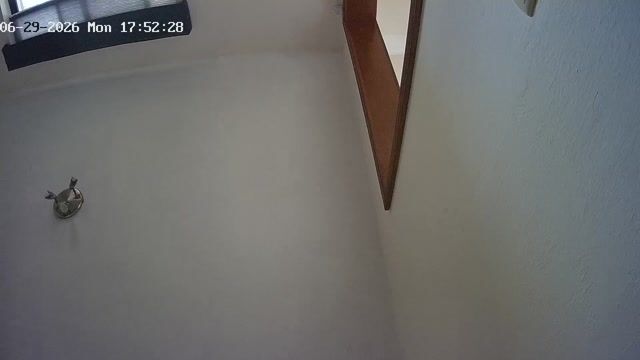 Clip de pádel capturado automáticamente por Puntaxo